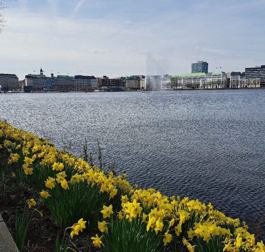 Binnenalster-汉堡必去景点