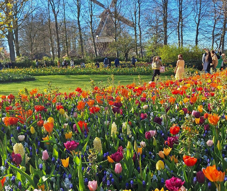 库肯霍夫-利塞必去景点