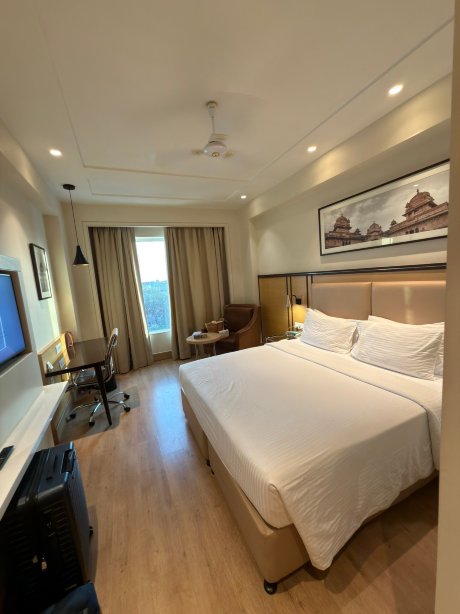 占西柠檬树酒店-旅行者