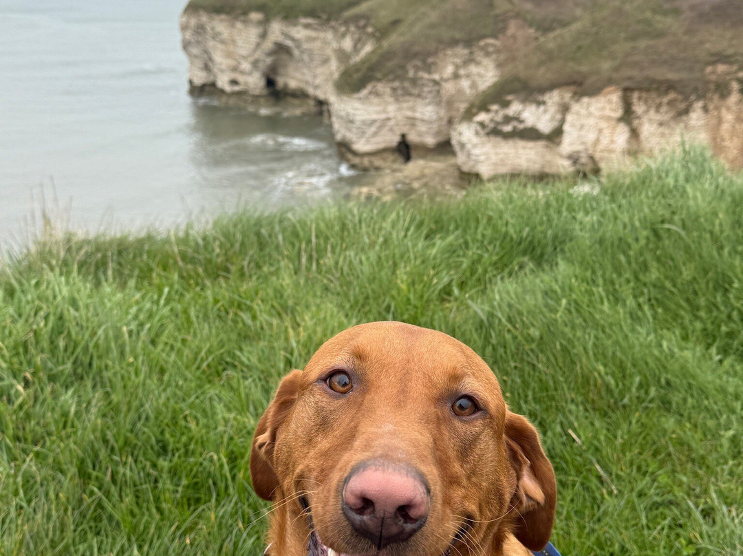 North Landing Beach-Flamborough必去景点