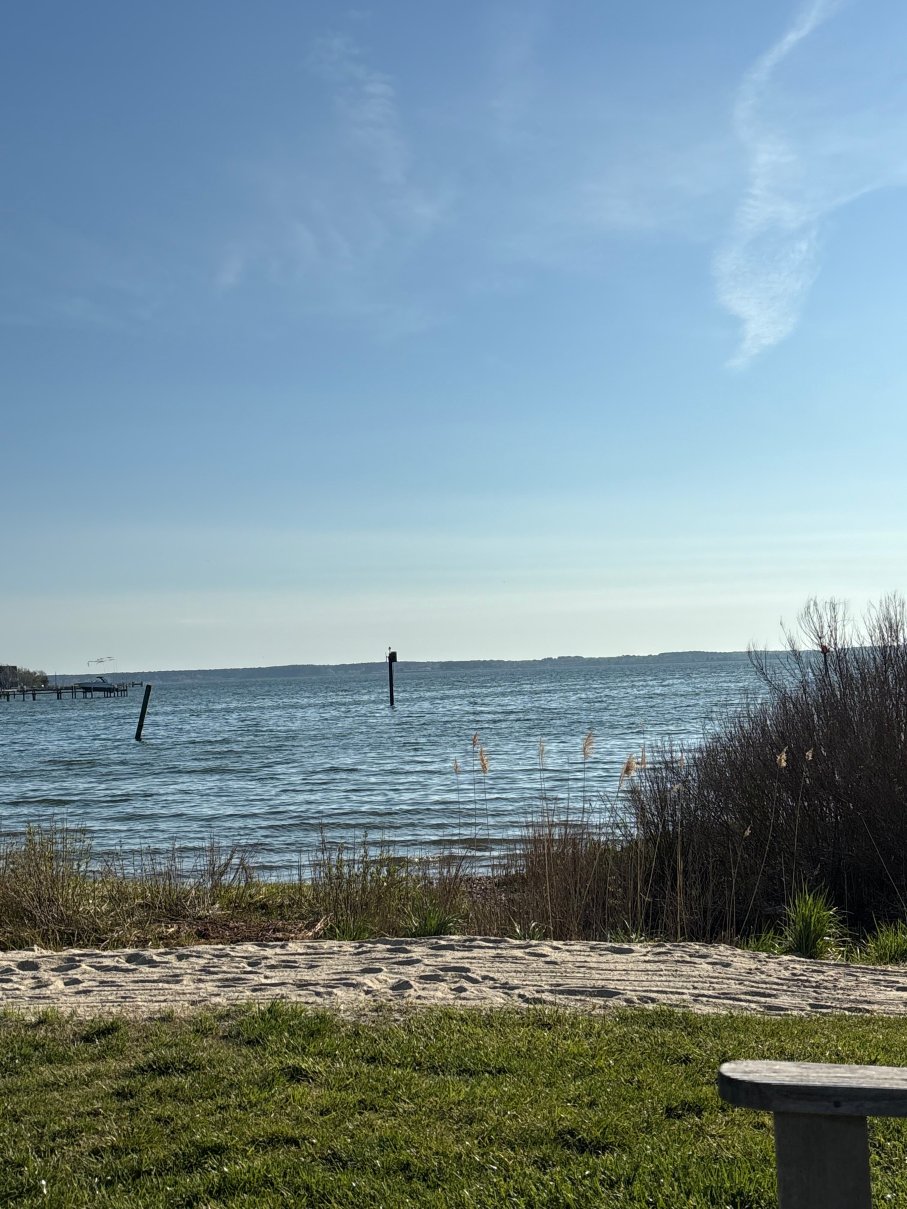 "怀尔德蒂尔曼岛"-旅行者