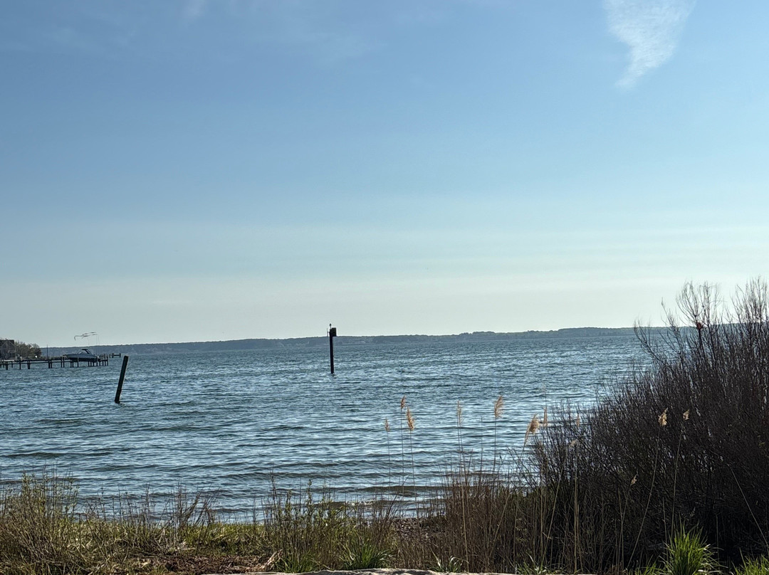 "怀尔德蒂尔曼岛"主图