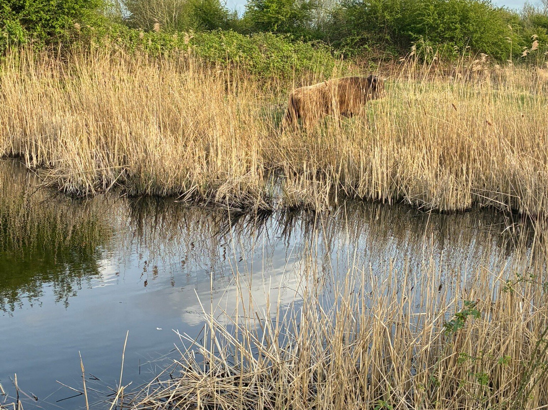 Schinkelbos-Aalsmeer必去景点