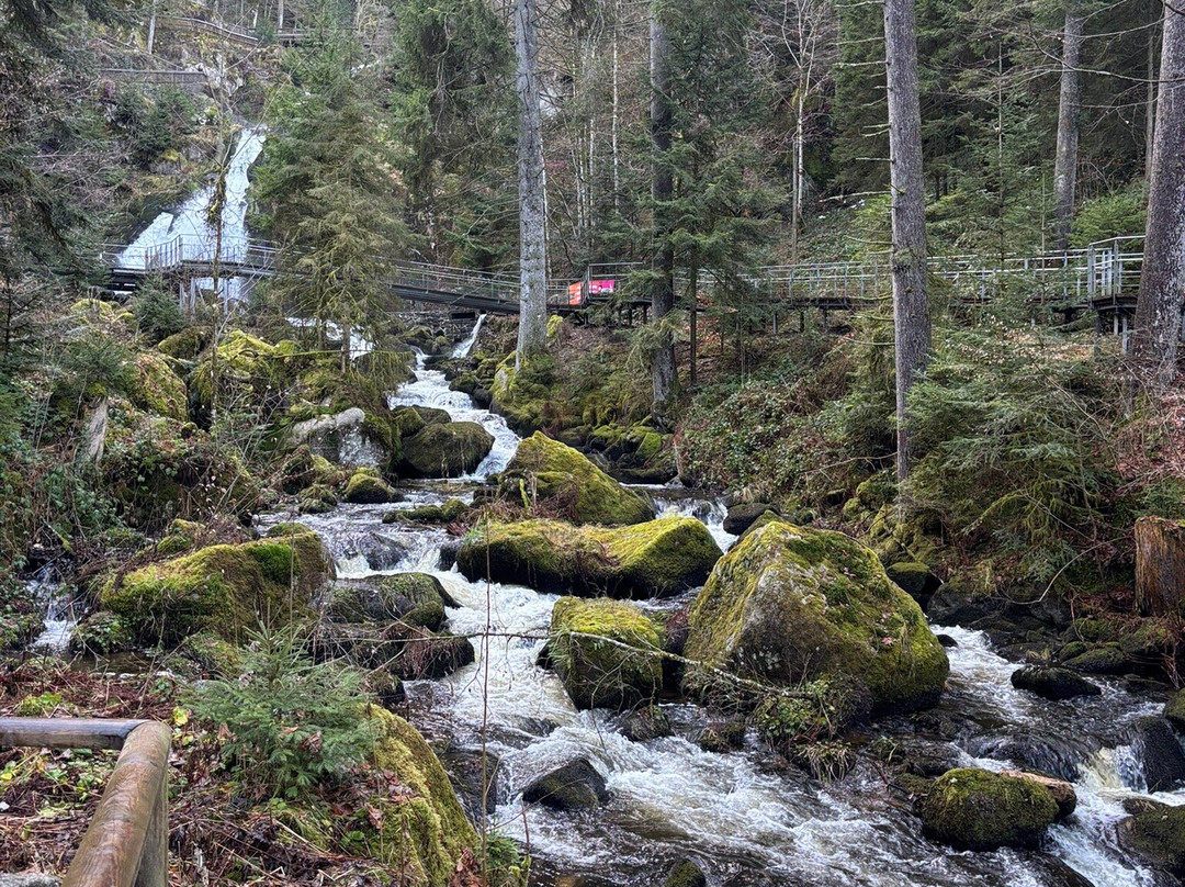 Triberger Waterfall-特里贝格必去景点