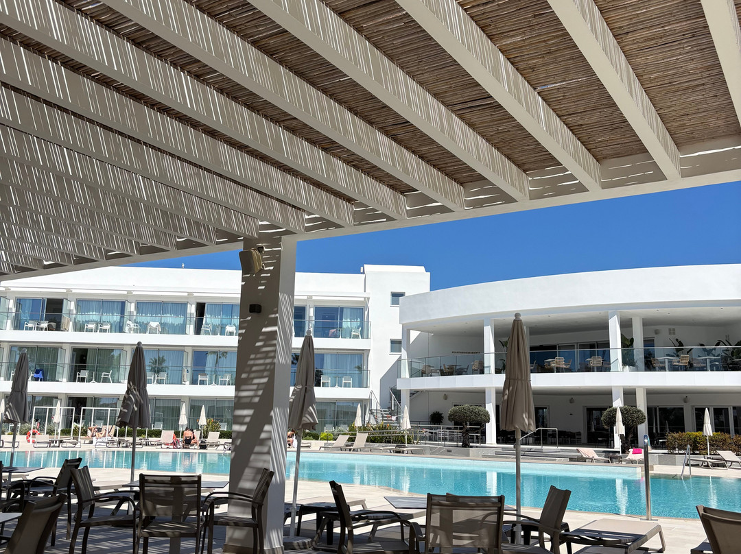 射手座大酒店主图