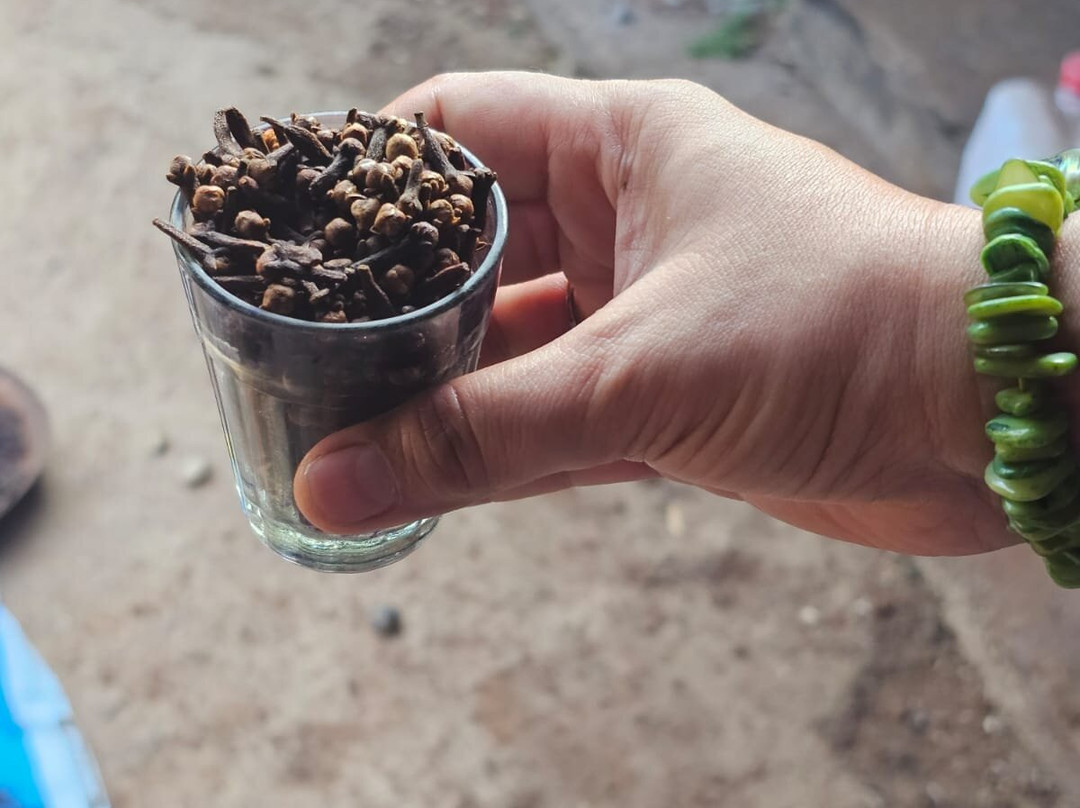 Tanshikar's Working Organic Spice Farm-Sanguem必去景点