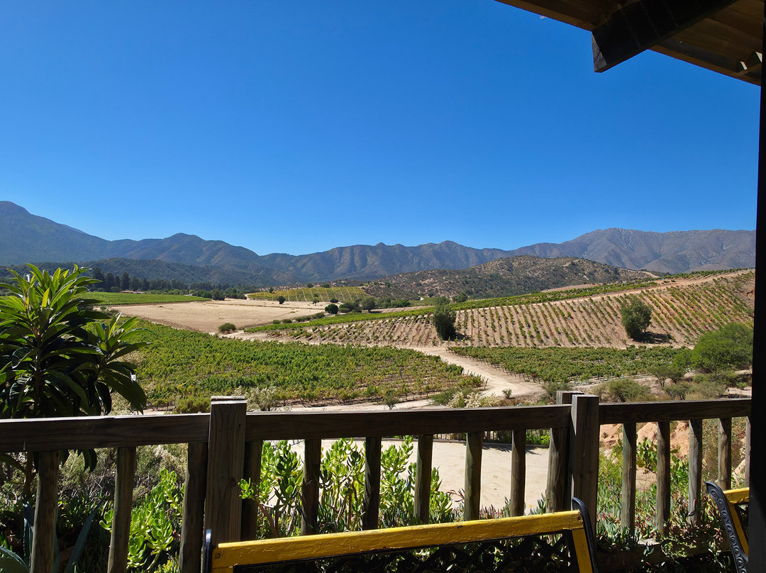 Villard Fine Wines-卡萨布兰卡必去景点