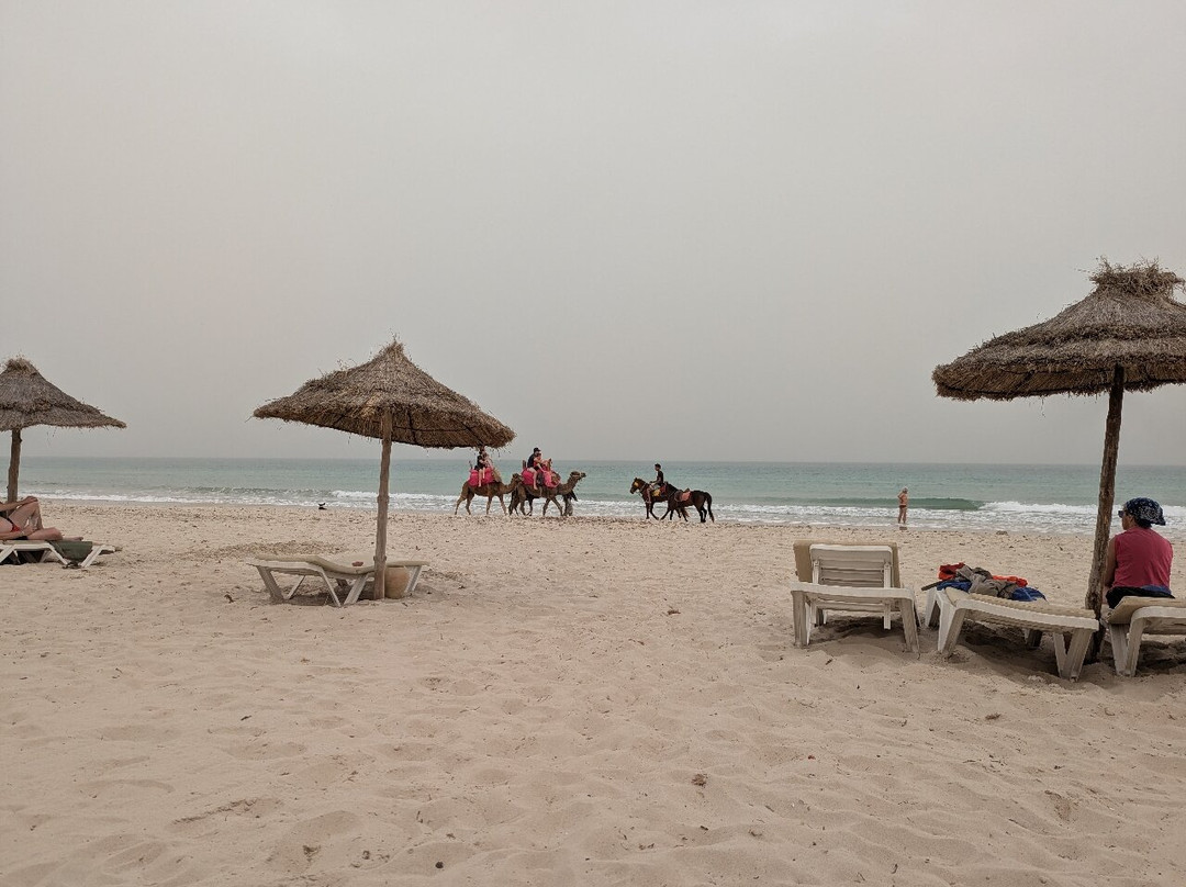 吉尔巴岛棕榈海滩俱乐部主图