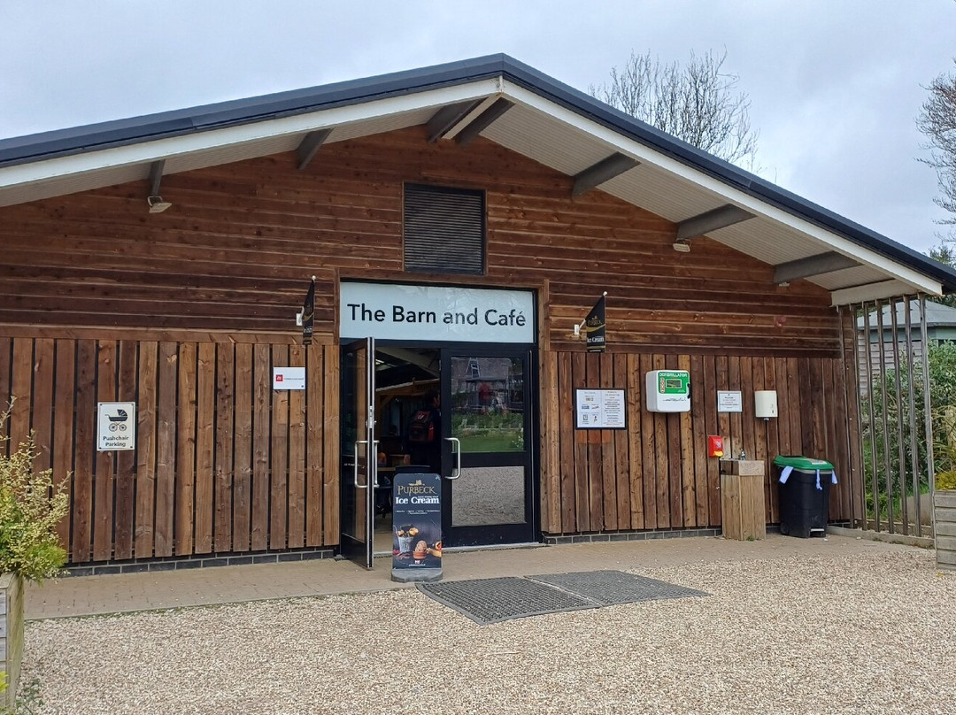 Kingston Maurward Park And Gardens-多切斯特必去景点