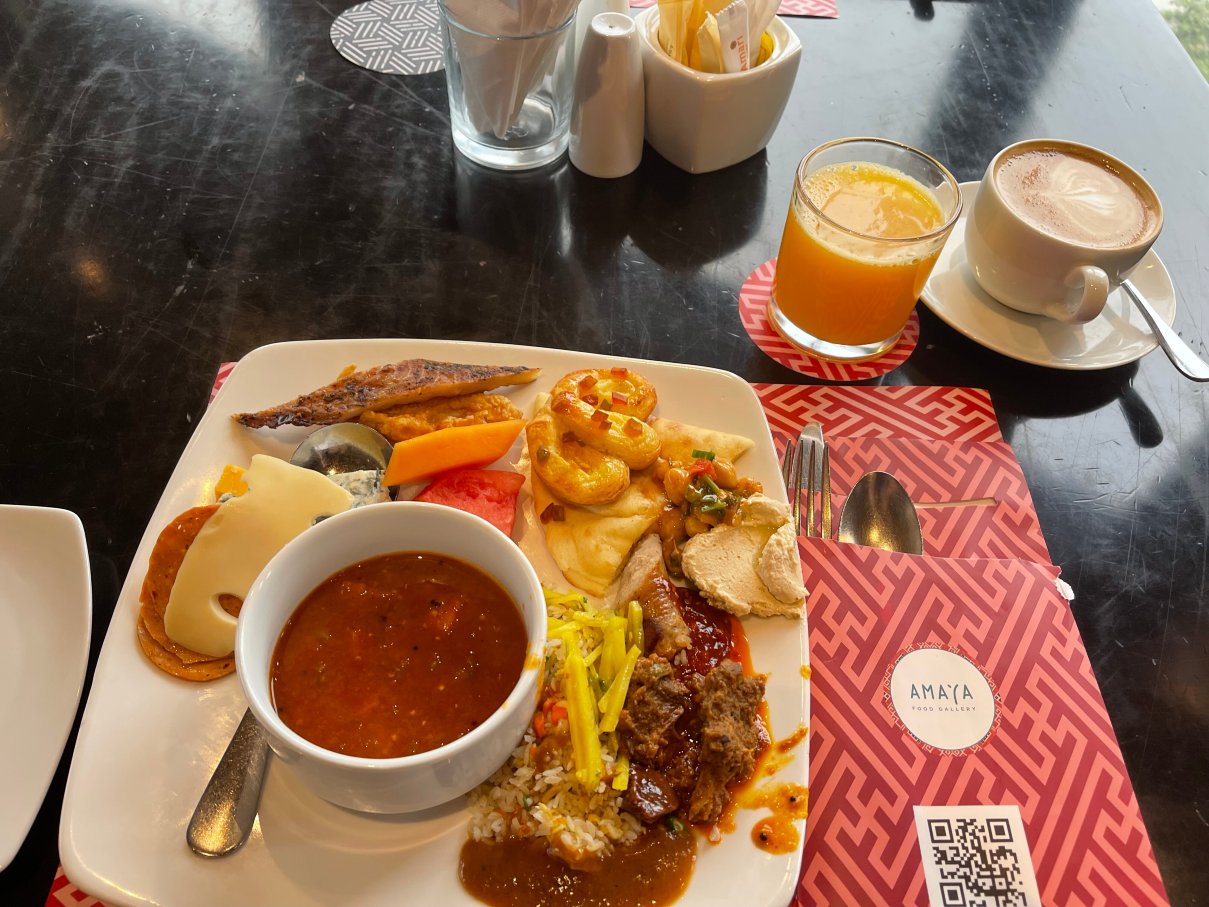 达卡阿玛瑞酒店-旅行者