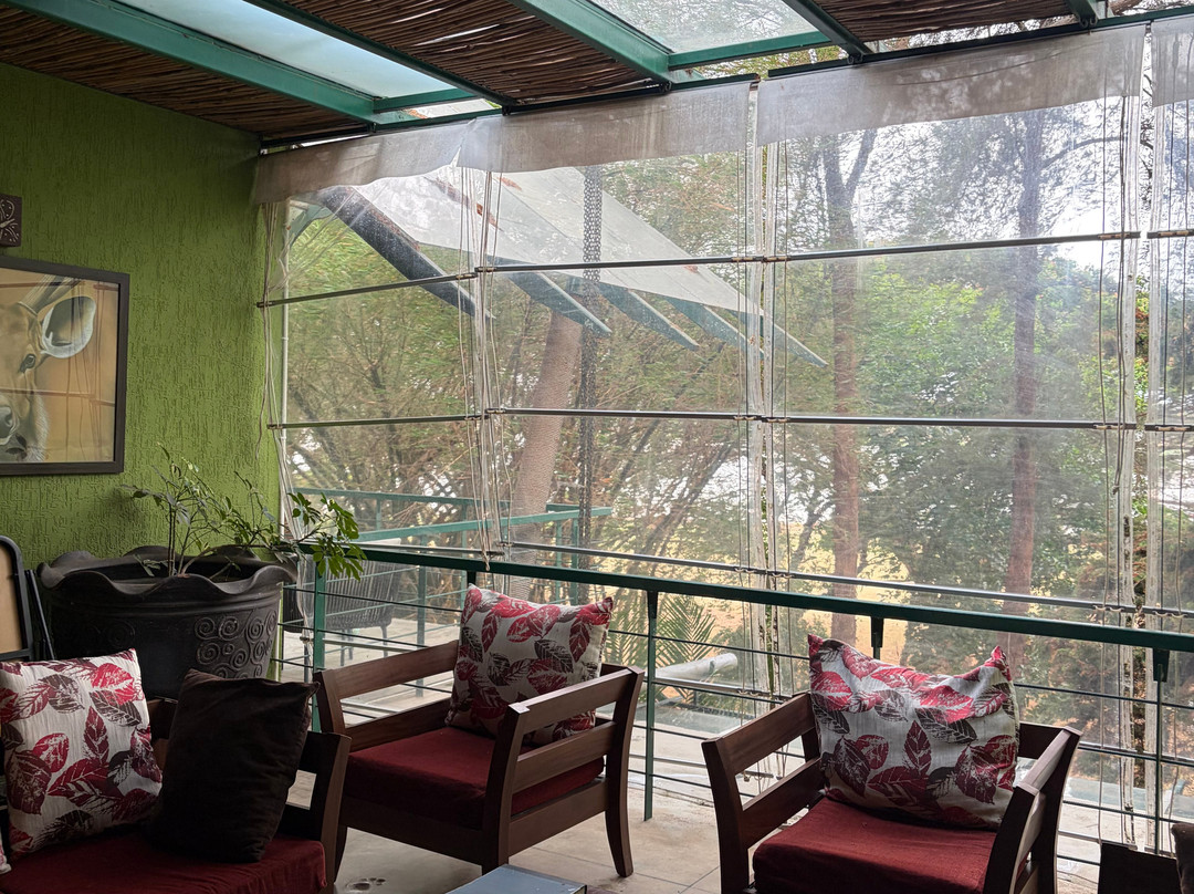 水之林小屋度假村主图