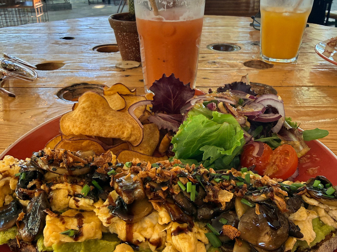 Terra Bio Food & Co - Convento