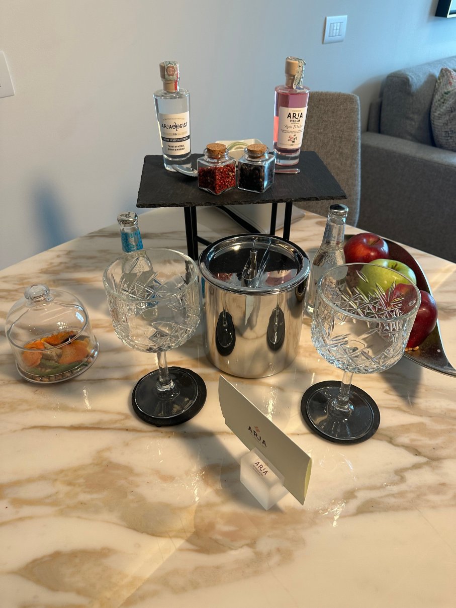Aria Retreat And Spa-客卧