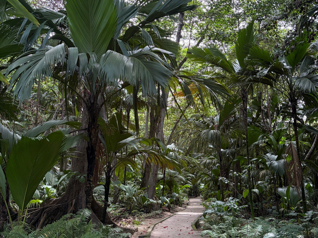 Edelweiss Tours, Seychellen-普拉兰岛必去景点