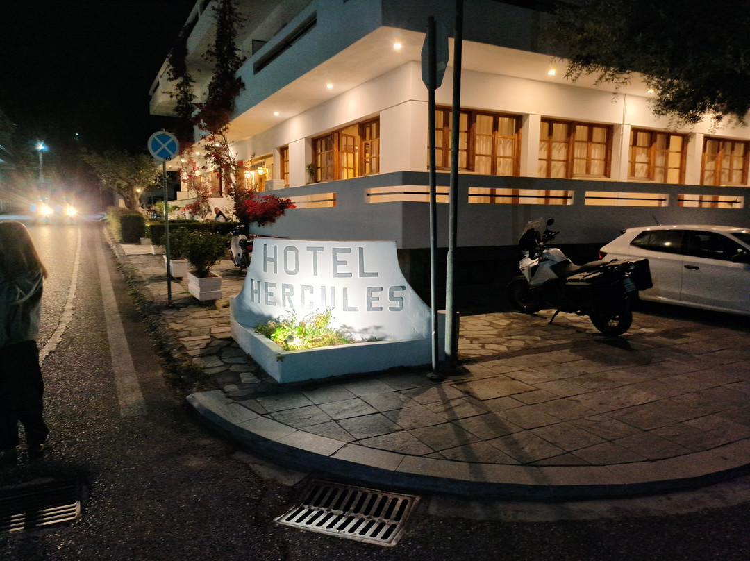 力神酒店主图