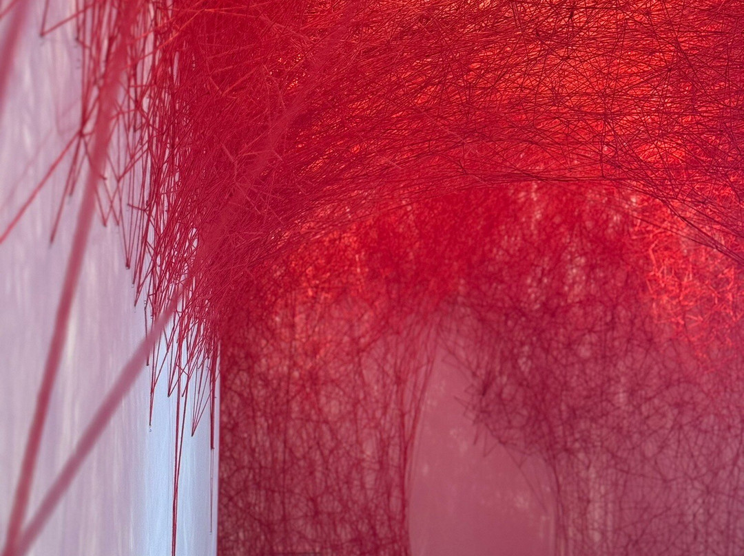 MAO - Museo d'Arte Orientale-都灵必去景点