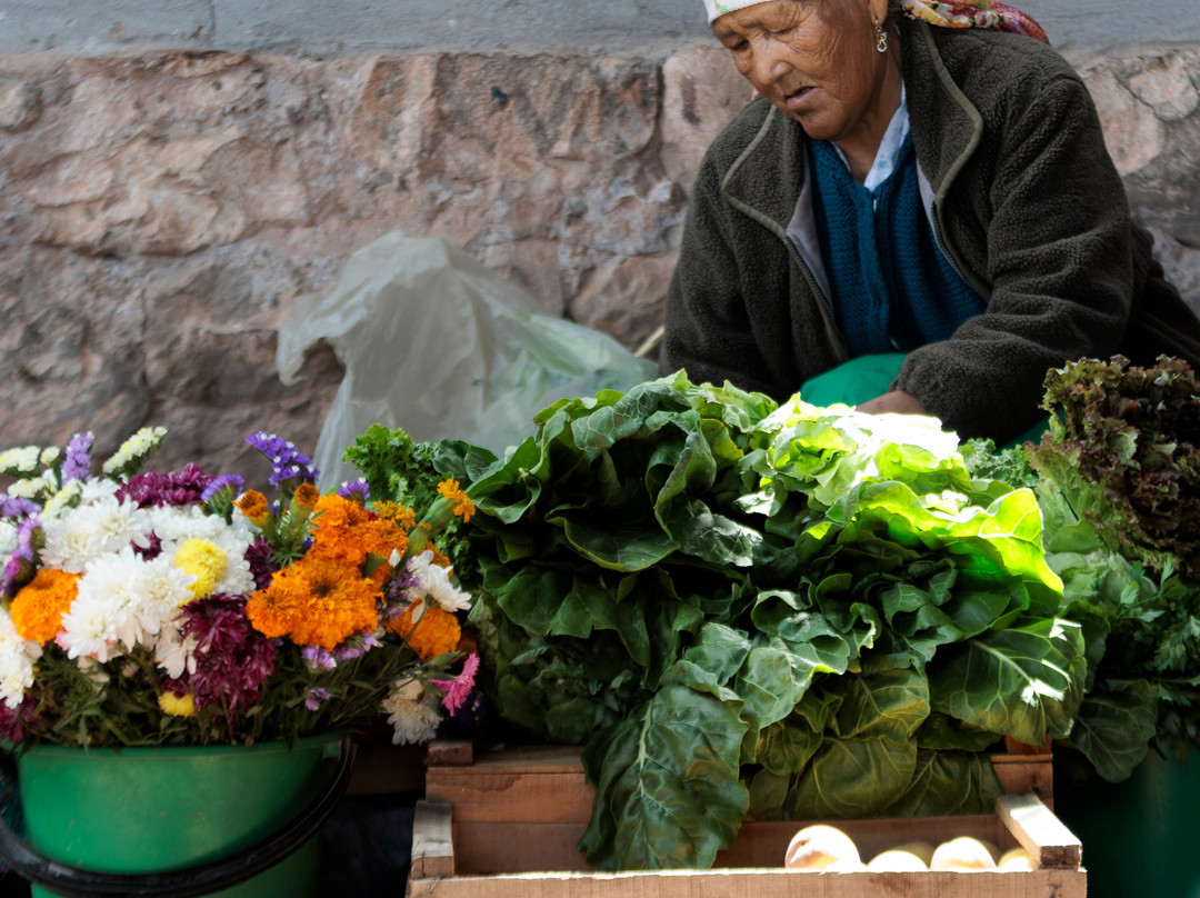 Argentina Photo Workshops-布宜诺斯艾利斯必去景点