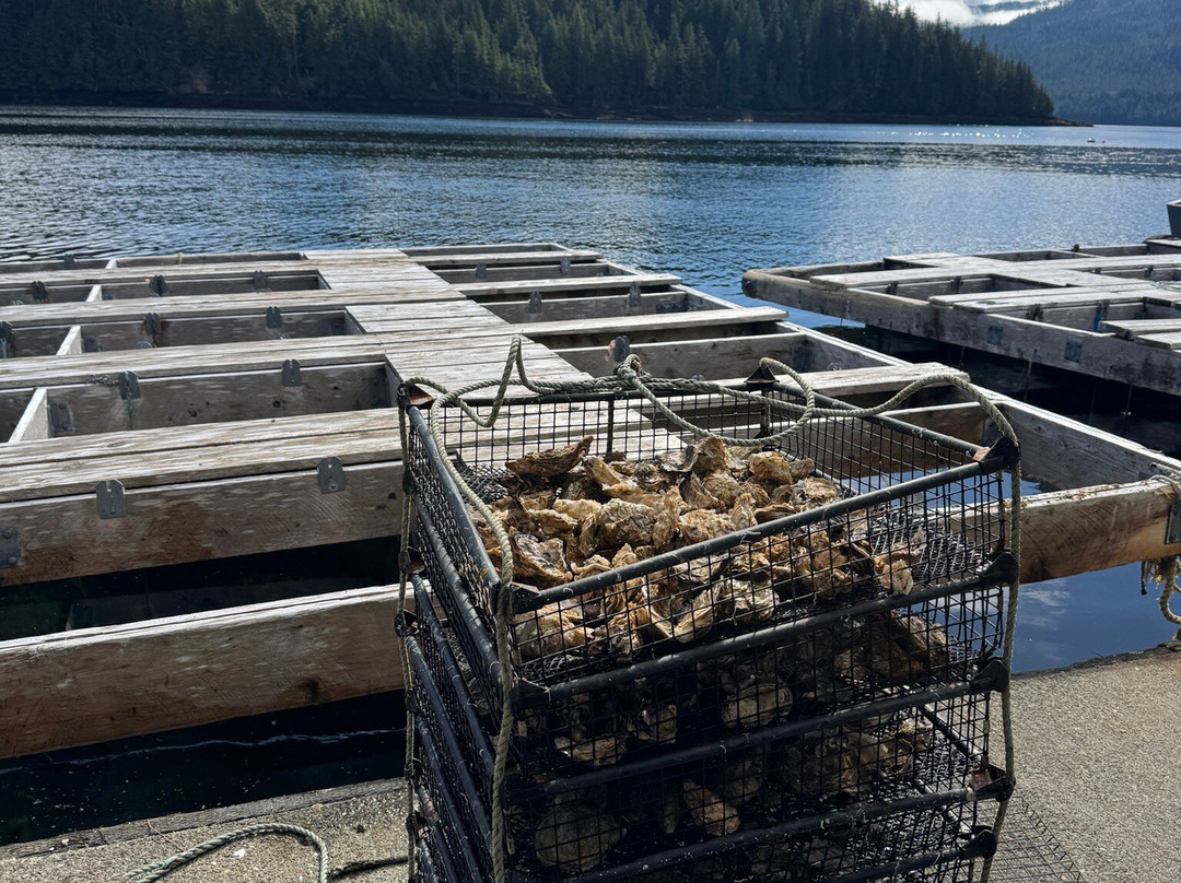 Hump Island Oyster & Kelp Farm with Tasting-凯奇坎必去景点
