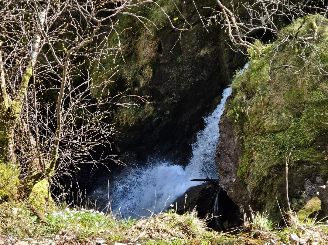 Discreet Scotland Private Tours-爱丁堡必去景点
