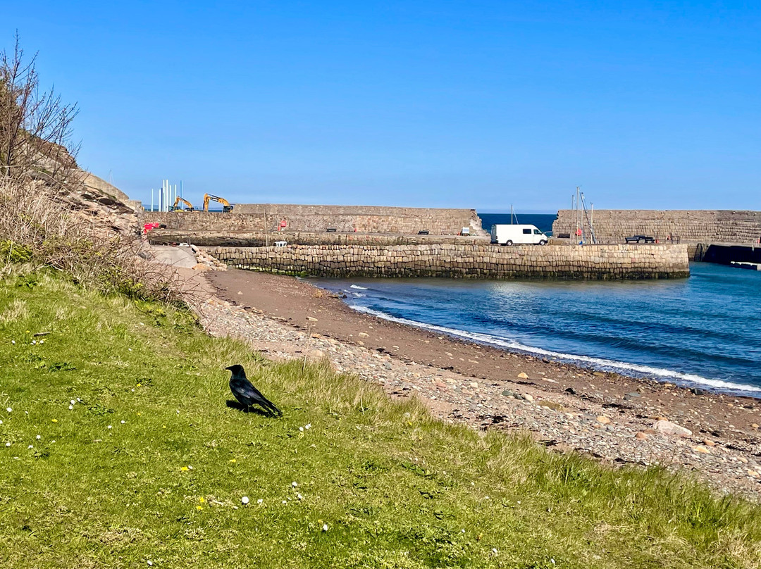 Ravenscraig Park-Kirkcaldy必去景点