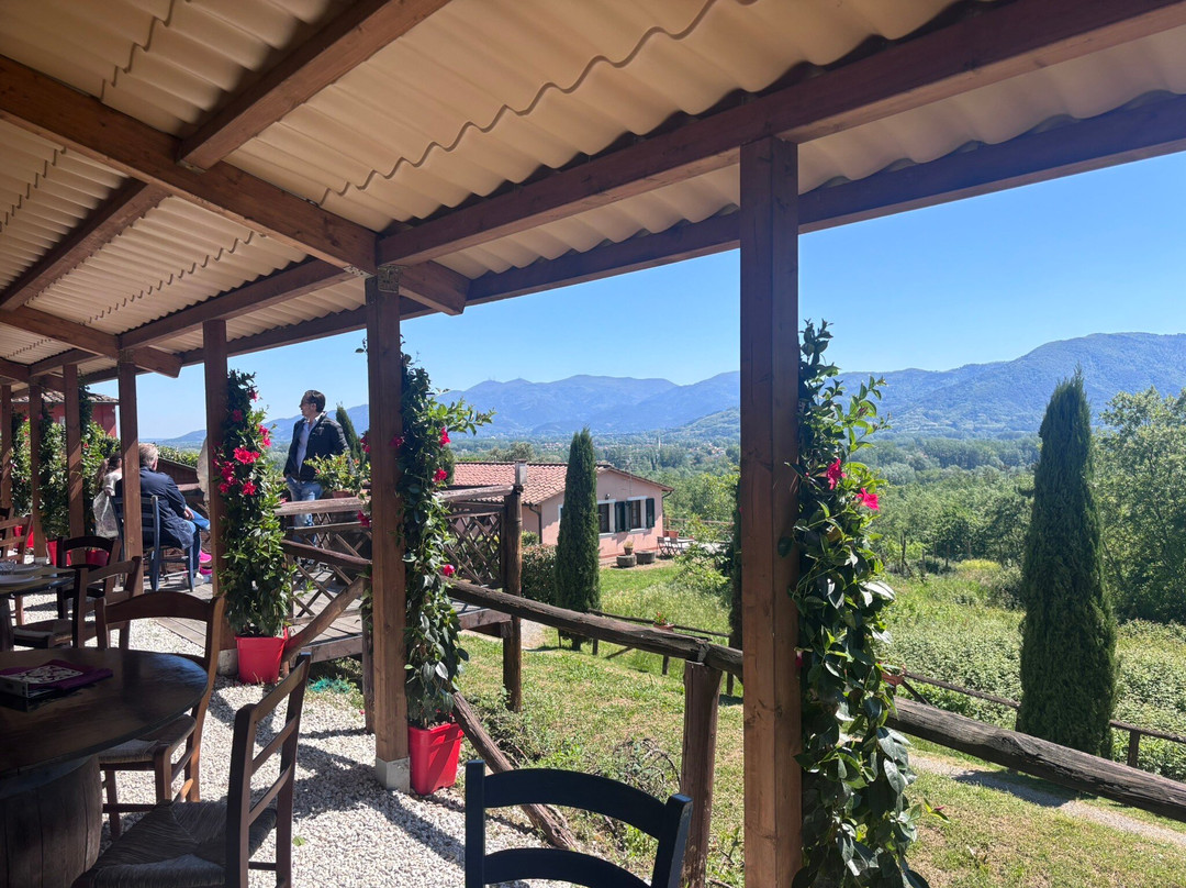 Fattoria Al Dotto-卢卡必去景点