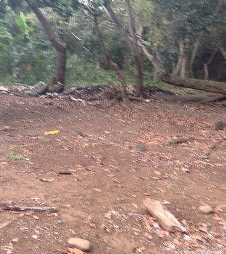 Rochester Falls-Souillac必去景点