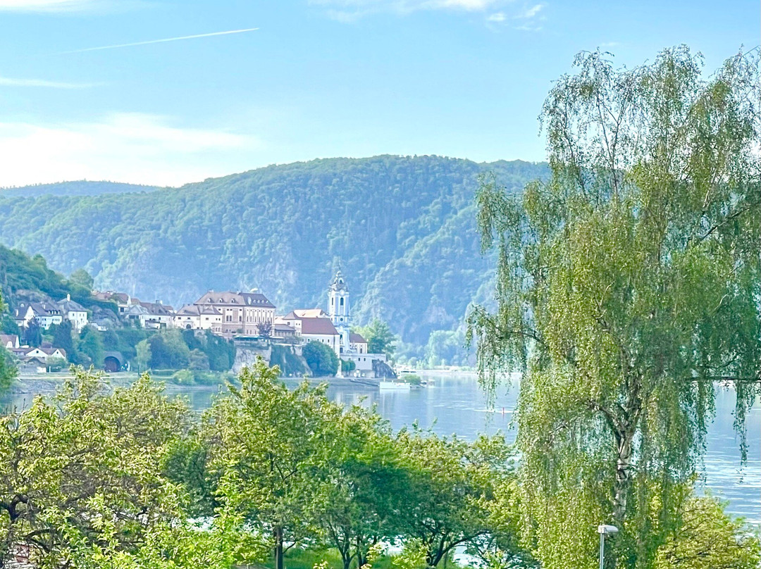 迪恩施泰因普菲费尔加藤酒店&酒庄主图