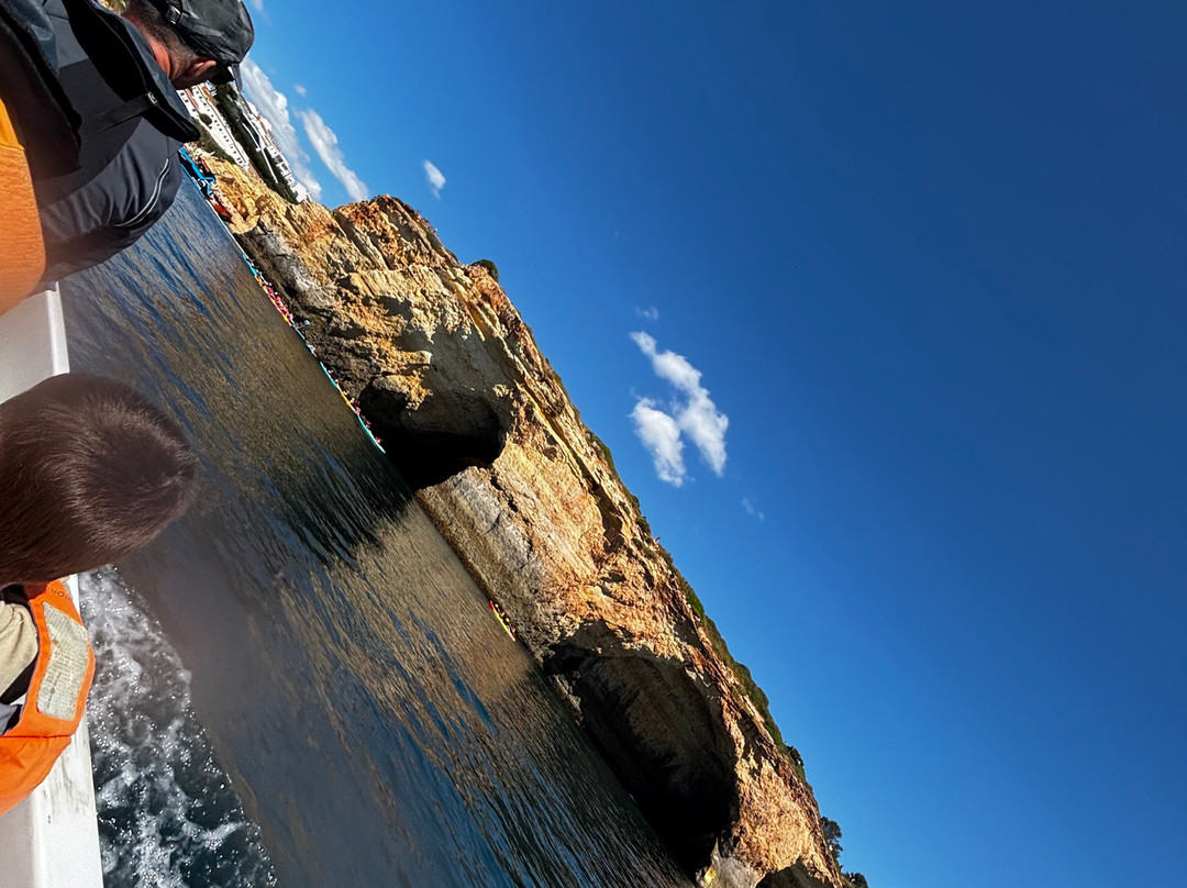 Praia da Senhora da Rocha-Porches必去景点