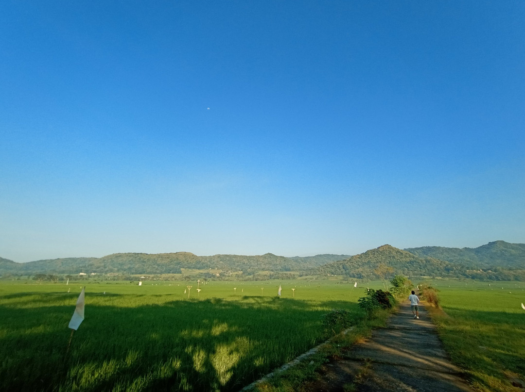 Moana - Sustainable Cycling Tour-Yogyakarta必去景点