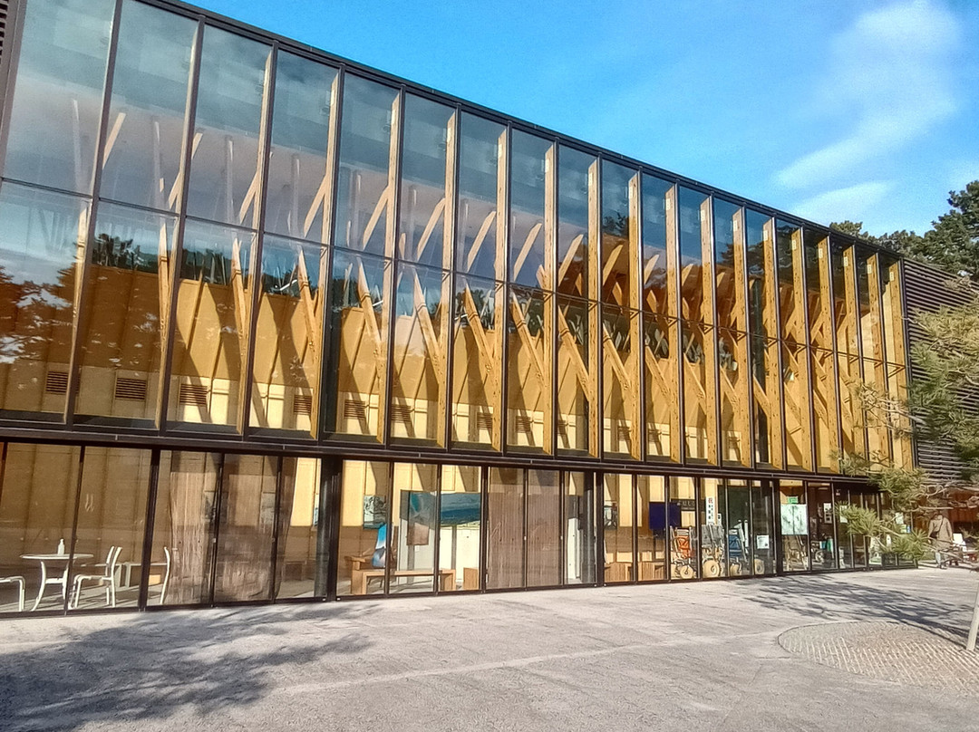 Shizuoka City Miho no Matsubara Culture & Creativity Center Mihoshirube-静冈市必去景点