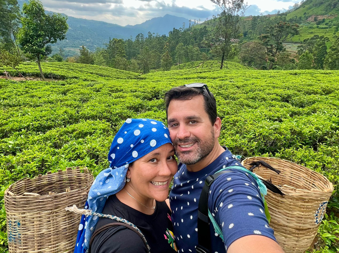 Sri Lanka Wide Tours-科伦坡必去景点