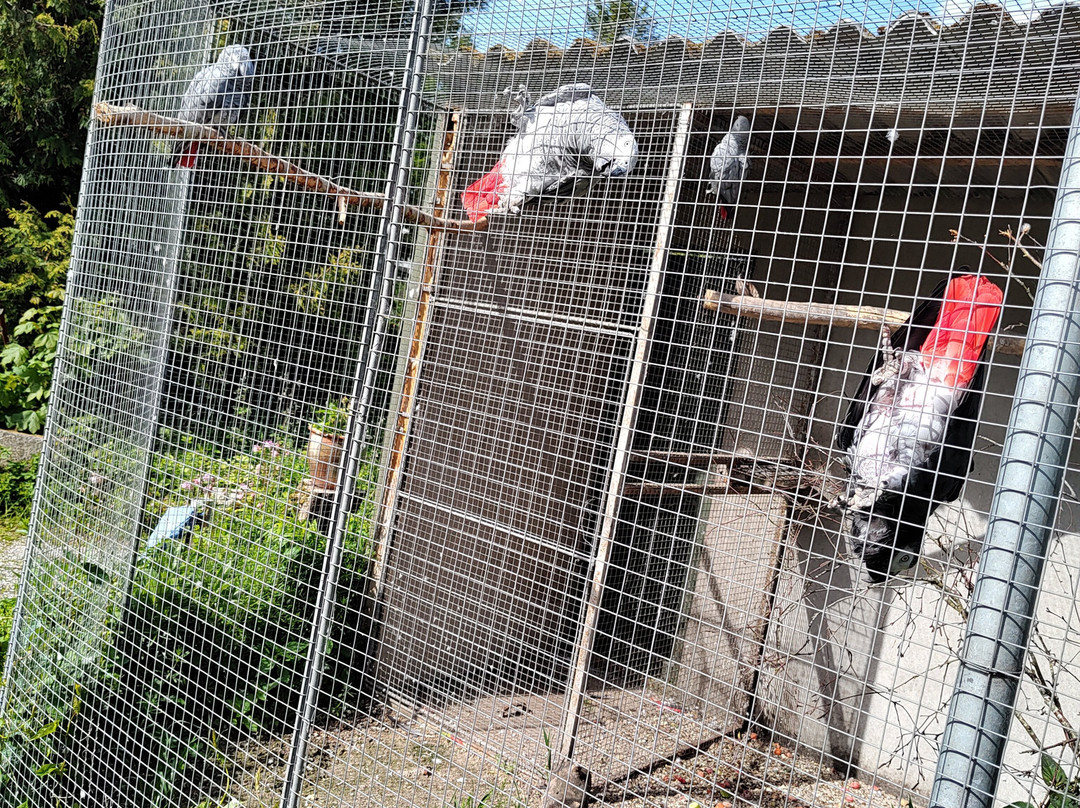 Denmarks Bird Zoo-Tommerup必去景点
