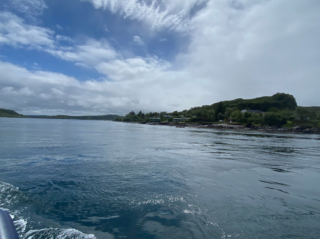 Sealife Adventures-Isle of Seil必去景点