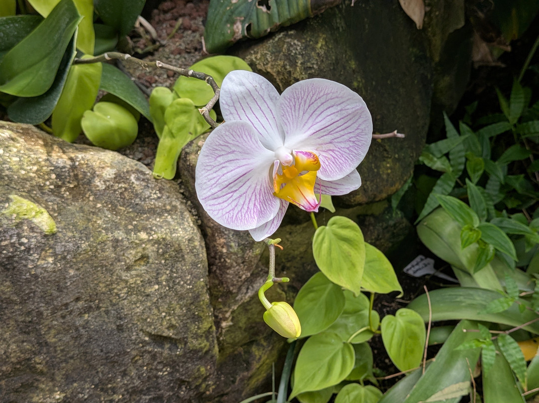 Stratford Butterfly Farm-埃文河畔斯特拉特福必去景点