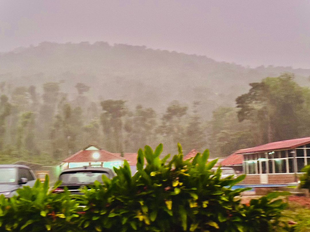 Sirimane Homestay - Swimming Pool, Food, Near to Falls & Trek主图