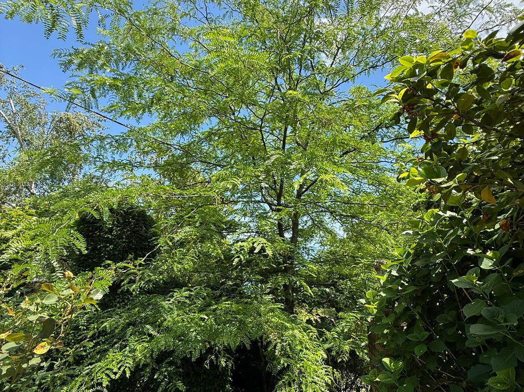Serpentin Organic Garden-Tsagkarada必去景点