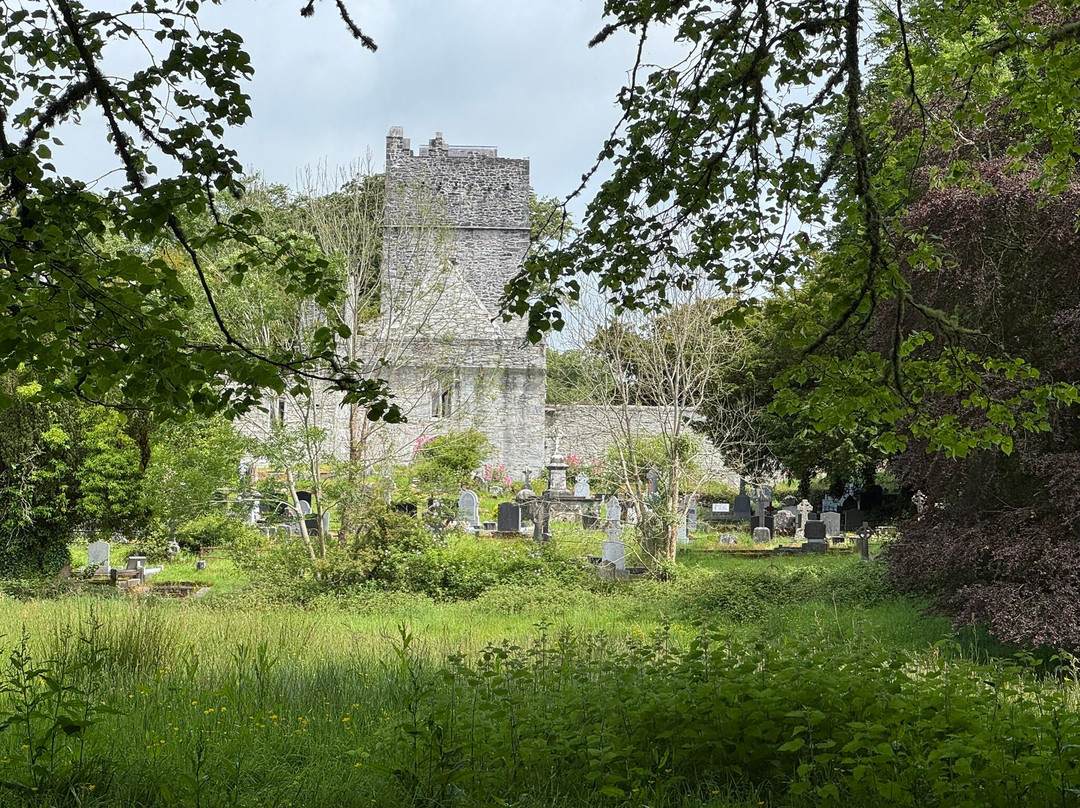 Muckross Abbey-基拉尼必去景点