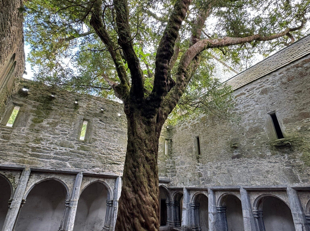 Muckross Abbey-基拉尼必去景点