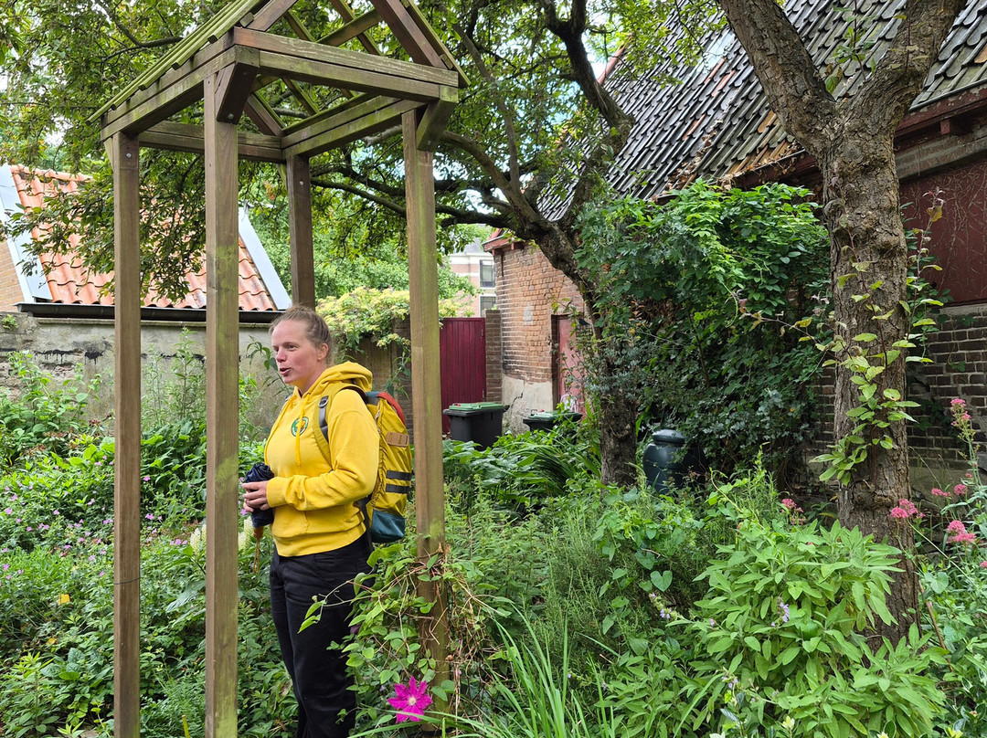 Deventer wandelinge-代芬特尔必去景点