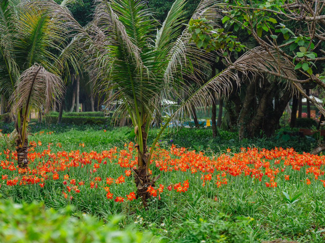 Vinh Tien酒店住宿-Cuc Phuong Mineral Retreat