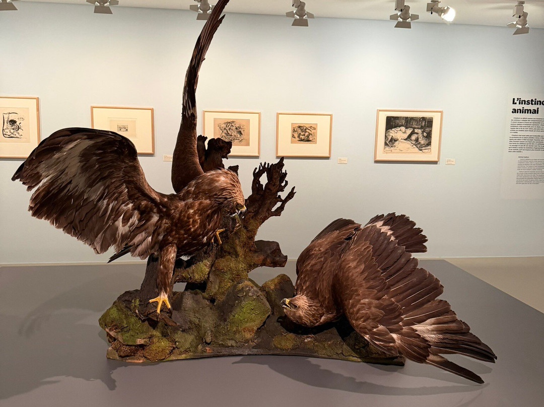Musée d'Art Moderne et Contemporain-斯特拉斯堡必去景点