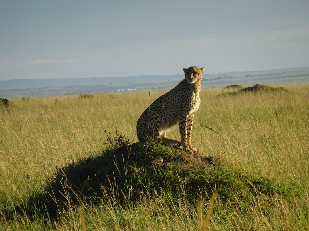 Enkakenya Camp