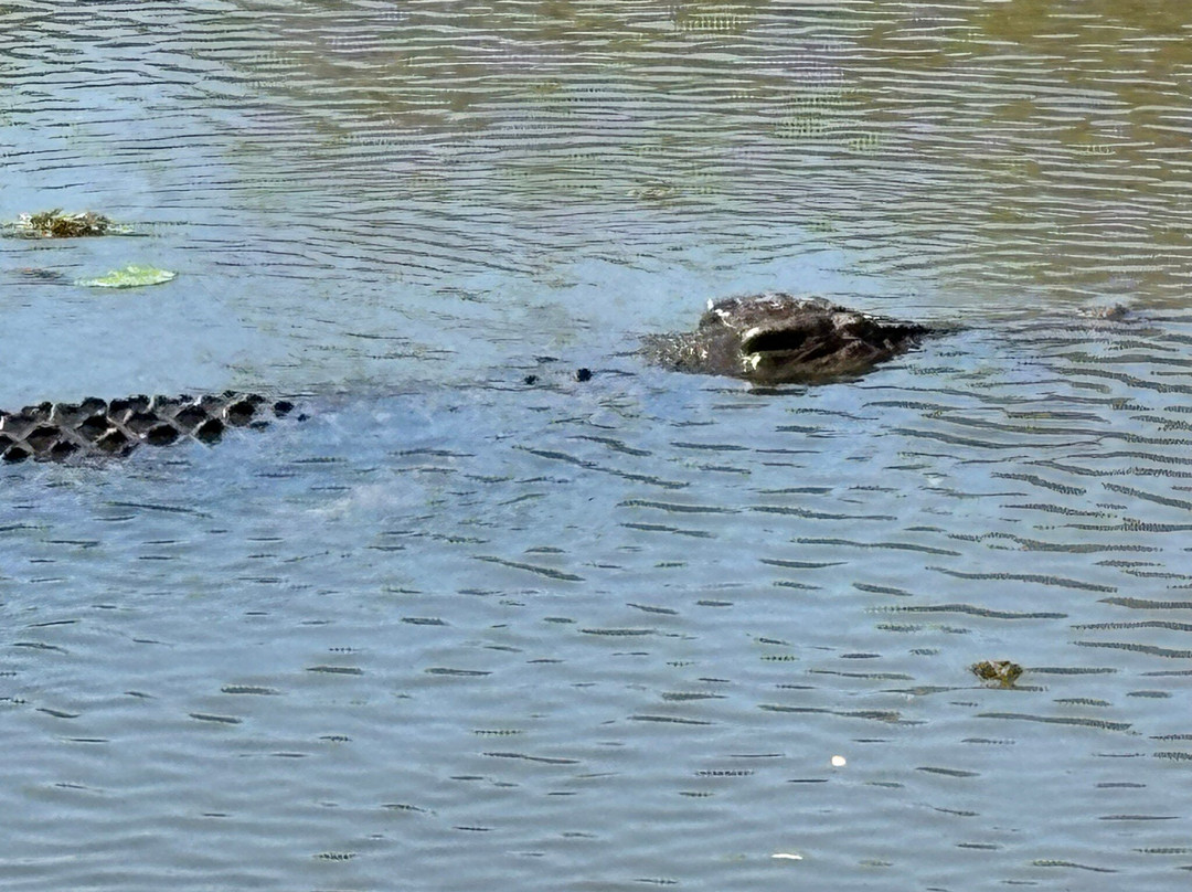 Lake Jabiru-Jabiru必去景点