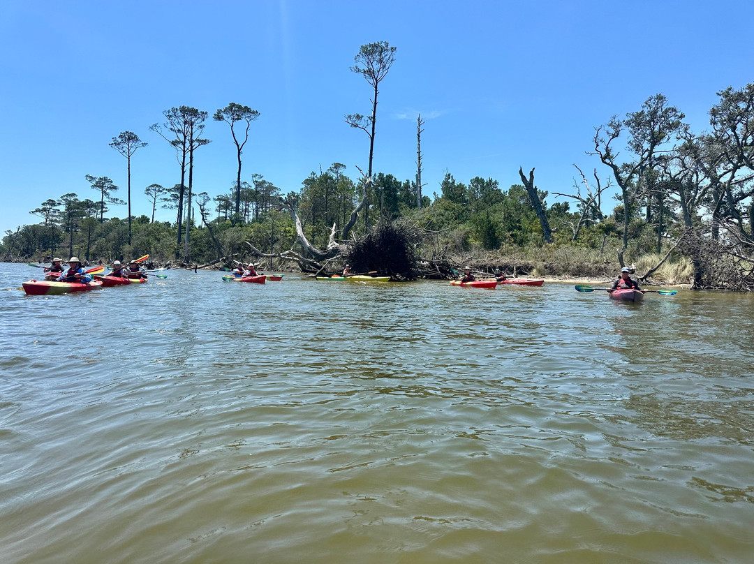 Coastal Kayak Touring Company-Duck必去景点