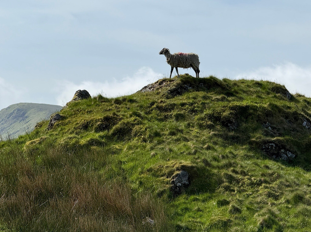 Sherpa Van-Kirkby Stephen必去景点