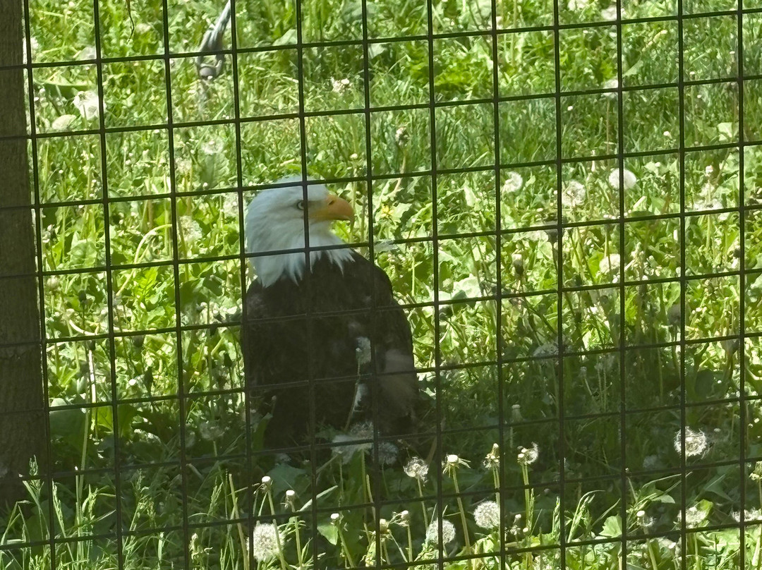 Lincoln Park Zoo-Manitowoc必去景点