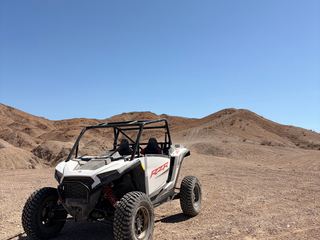 San Diego Dune Tours-Ocotillo必去景点