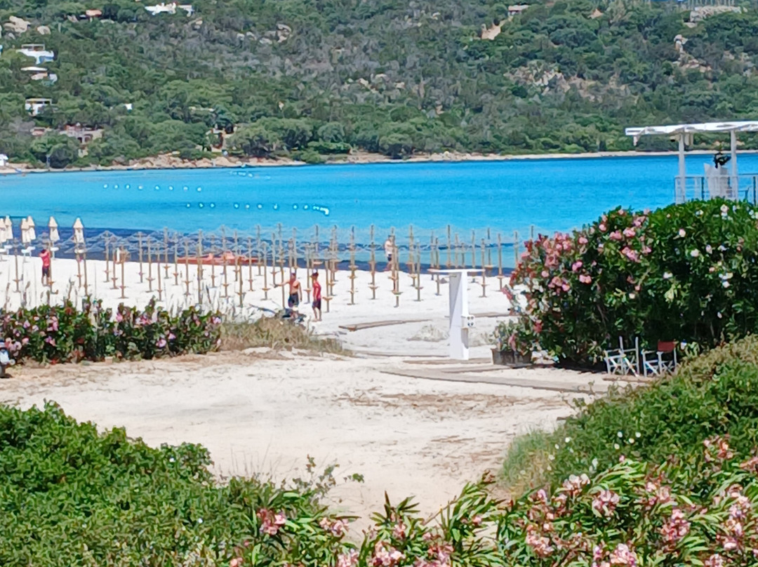 Cala Reale Apartments