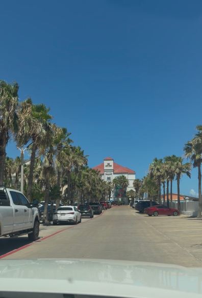 南帕诸岛海滩拉昆塔温德姆套房酒店(South Padre Island Beach)-旅行者
