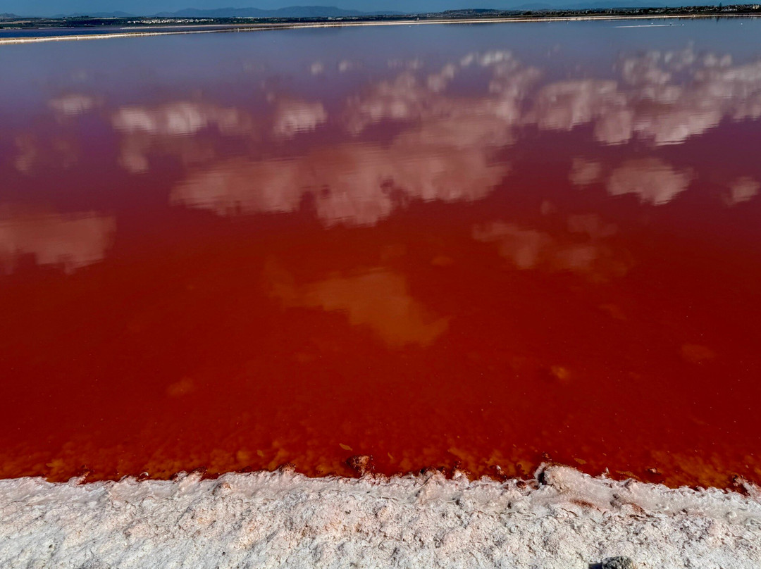 Laguna Salada de Torrevieja-托雷维耶哈必去景点